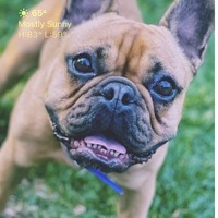 User profile image