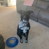 Carter