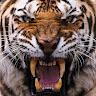 Andres Heredia