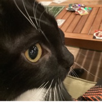 User profile image
