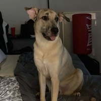 User profile image