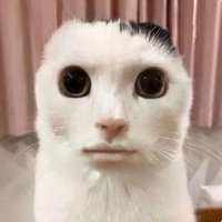 Manasco