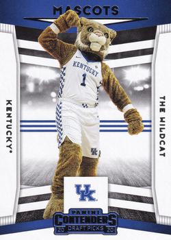 The Wildcat 