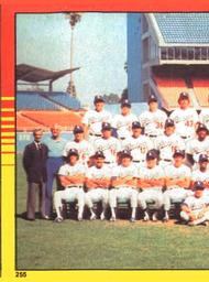 1981 World Champions