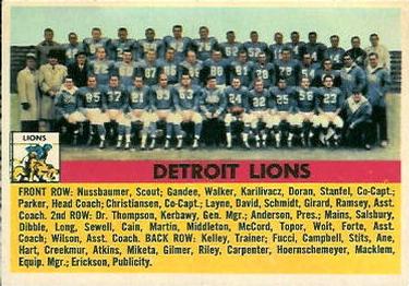 Detroit Lions