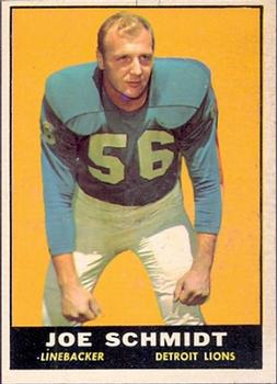Joe Schmidt