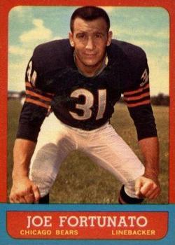 Joe Fortunato