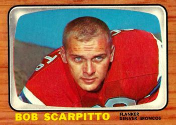 Bob Scarpitto