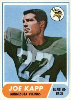 Joe Kapp