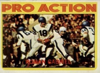 Roman Gabriel