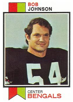 Bob Johnson