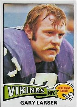 Gary Larsen
