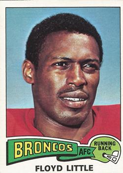 Floyd Little