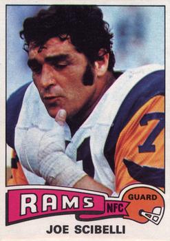 Joe Scibelli