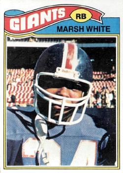 Marsh White