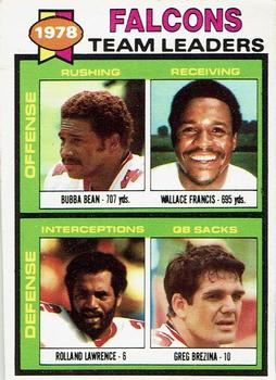 Falcons Team Leaders