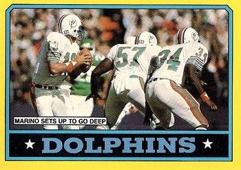 Dolphins Team Leaders