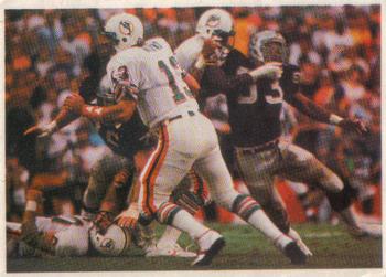 A Record-Setting Day for Marino