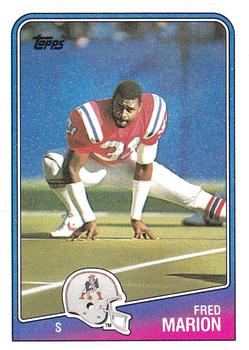 Fred Marion