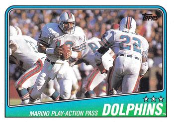 Dolphins Team Leaders - Dan Marino