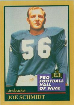 Joe Schmidt