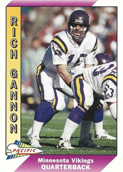 Rich Gannon