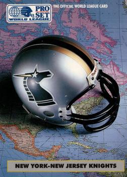 New York-New Jersey Knights