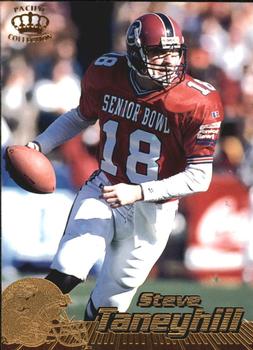 Steve Taneyhill