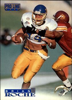 Brian Roche