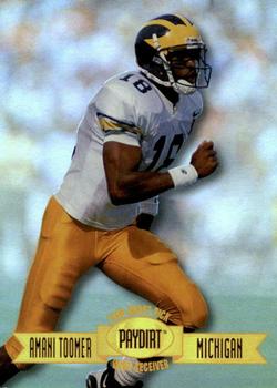 Amani Toomer