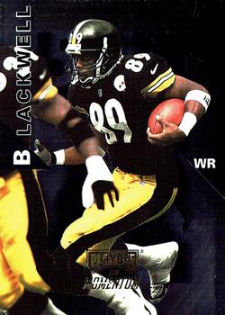 Will Blackwell