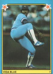Vida Blue
