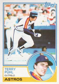 Terry Puhl
