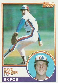 Dave Palmer