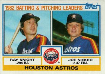 Astros Leaders / Checklist (Ray Knight / Joe Niekro)
