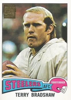 Terry Bradshaw