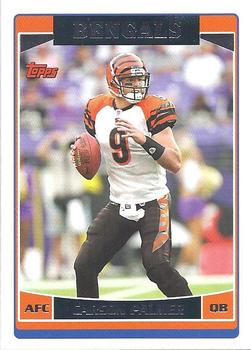 Carson Palmer