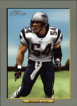 Tedy Bruschi