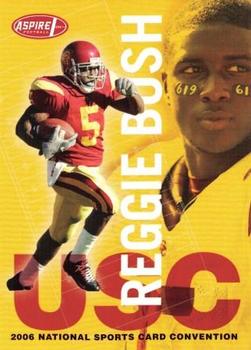 Reggie Bush