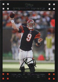 Carson Palmer