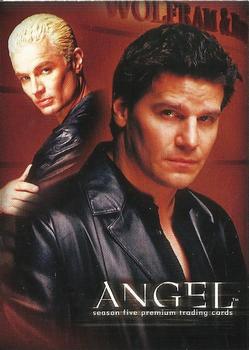 Angel / Spike 