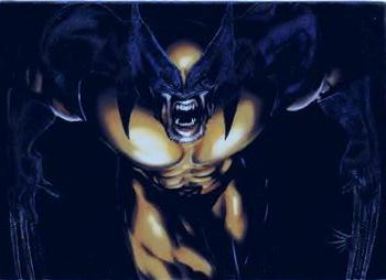 Wolverine