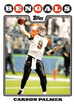 Carson Palmer