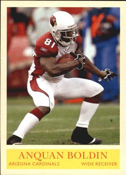 Anquan Boldin
