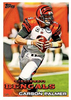 Carson Palmer