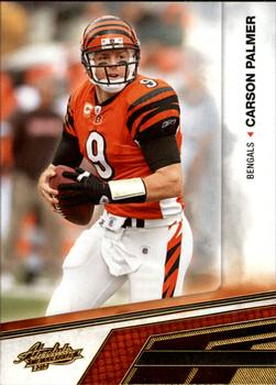 Carson Palmer