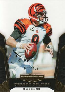 Carson Palmer