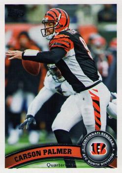 Carson Palmer