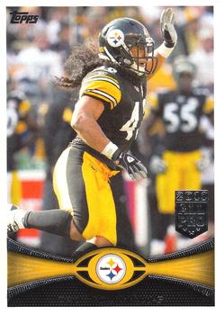 Troy Polamalu