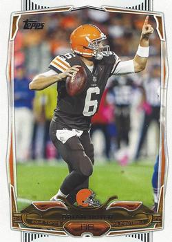 Brian Hoyer
